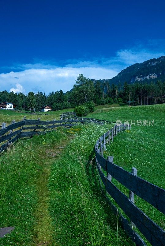 Kastelruth Dolomites的风景